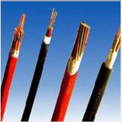 氟塑料绝缘高温电力电缆 保障极端工况下电力传输的可靠选择